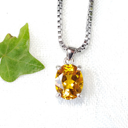 Golden Yellow　Yellow Sapphire　オーバルネックレス　SUS316L　ベネチアン 11枚目の画像