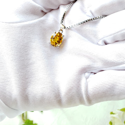 Golden Yellow　Yellow Sapphire　オーバルネックレス　SUS316L　ベネチアン 14枚目の画像