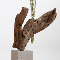 世界にたったひとつあなただけの流木一輪挿し | driftwood flowervase | eda no.2 9枚目の画像