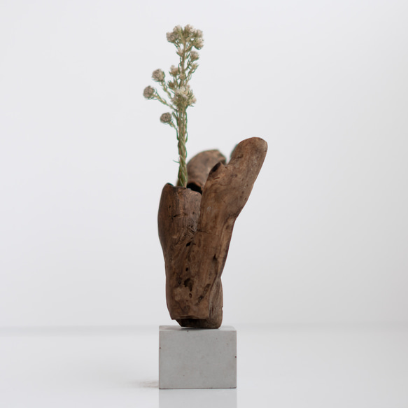 世界にたったひとつあなただけの流木一輪挿し | driftwood flowervase | eda no.2 3枚目の画像