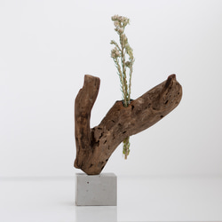 世界にたったひとつあなただけの流木一輪挿し | driftwood flowervase | eda no.2 4枚目の画像