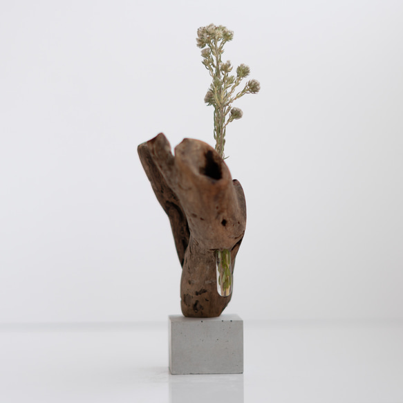 世界にたったひとつあなただけの流木一輪挿し | driftwood flowervase | eda no.2 5枚目の画像