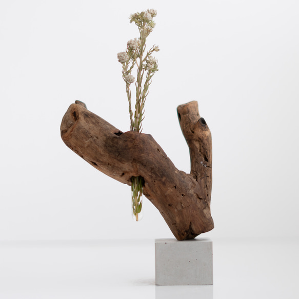 世界にたったひとつあなただけの流木一輪挿し | driftwood flowervase | eda no.2 1枚目の画像