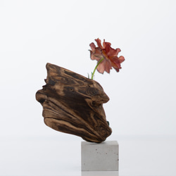 世界にたったひとつあなただけの流木一輪挿し | driftwood flowervase | hane no.2 3枚目の画像