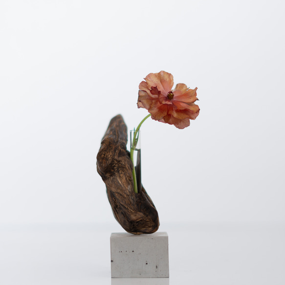 世界にたったひとつあなただけの流木一輪挿し | driftwood flowervase | hane no.2 4枚目の画像