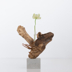 世界にたったひとつあなただけの流木一輪挿し | driftwood flowervase | mushi no.1 1枚目の画像