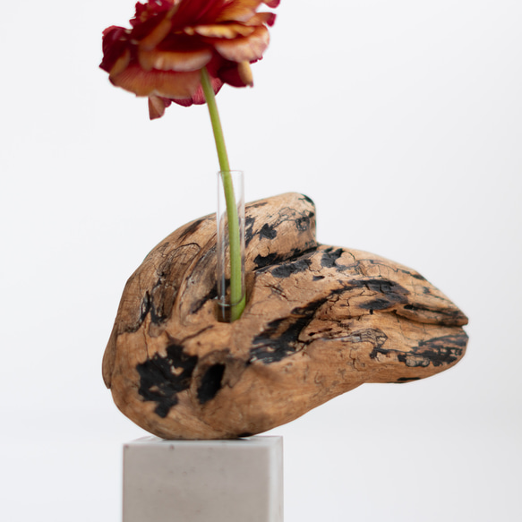 世界にたったひとつあなただけの流木一輪挿し | driftwood flowervase | osakana no.2 7枚目の画像