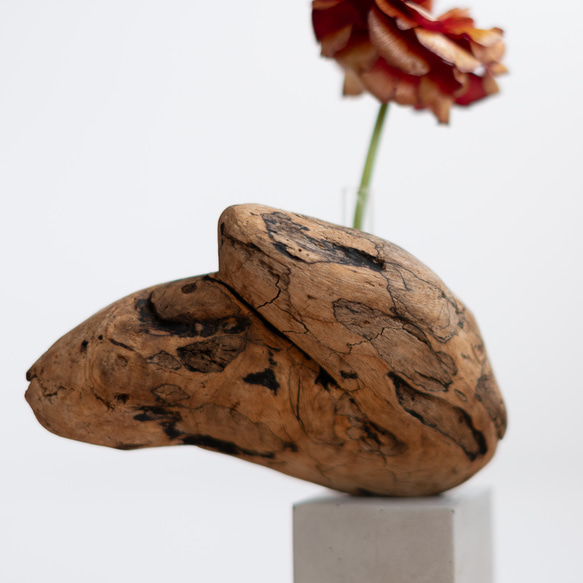 世界にたったひとつあなただけの流木一輪挿し | driftwood flowervase | osakana no.2 9枚目の画像