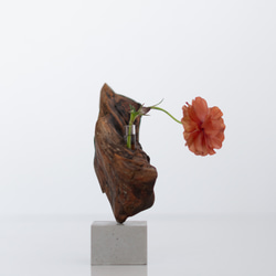 世界にたったひとつあなただけの流木一輪挿し | driftwood flowervase | tane no.2 6枚目の画像