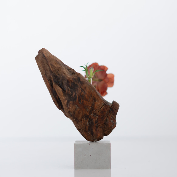 世界にたったひとつあなただけの流木一輪挿し | driftwood flowervase | tane no.2 5枚目の画像