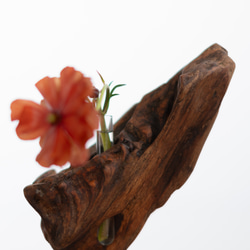 世界にたったひとつあなただけの流木一輪挿し | driftwood flowervase | tane no.2 7枚目の画像