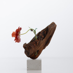 世界にたったひとつあなただけの流木一輪挿し | driftwood flowervase | tane no.2 3枚目の画像