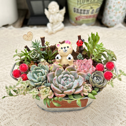 可愛い♡ トイプードルちゃん 多肉植物寄せ植え プレゼント ギフト