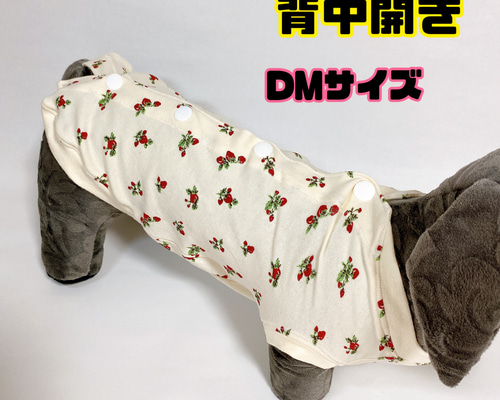 97e5d234cce8da2a4d6fafb4729dcd