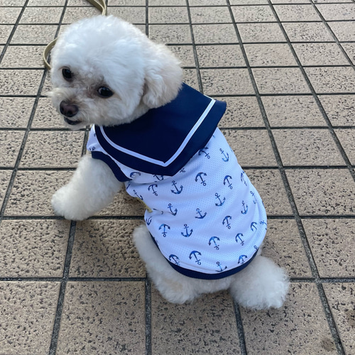 ハンドメイド犬服 接触冷感ニット シンプルタンクトップ マリン柄 