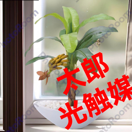 光触媒　人工観葉植物　ウォールグリーン　造花　アレンジ　ヤシとバナナ 光触媒人工観葉植物ウォールグリーン造花アレンジヤシとバナナ