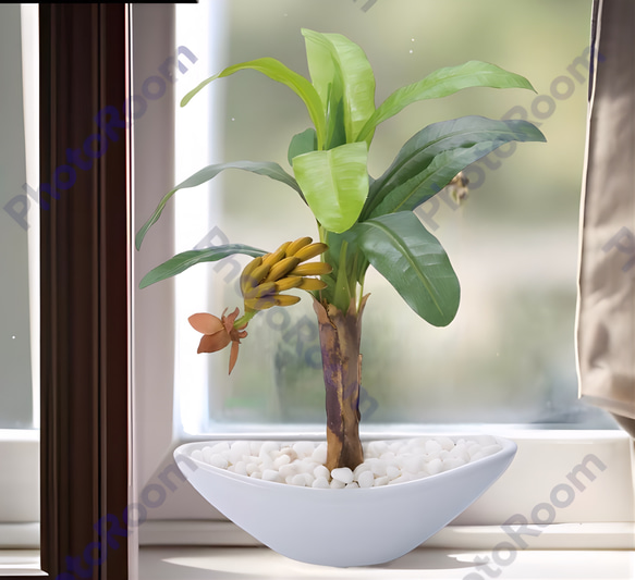 光触媒　人工観葉植物　ウォールグリーン　フェイクグリーン　バナナポット@ 3枚目の画像