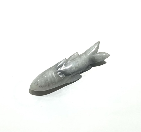 ジンベサメ　白鮫 3枚目の画像