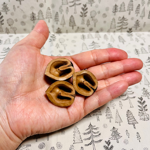 送料込み 鬼クルミの殻 素材 半割れ その他素材 youmoutikutik 通販