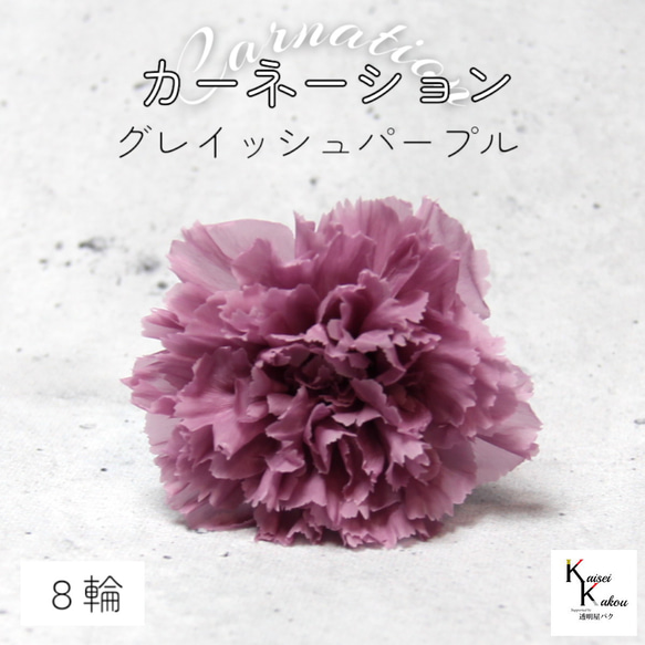 大地農園！ プリザーブドフラワー 「カーネーション グレイッシュ 