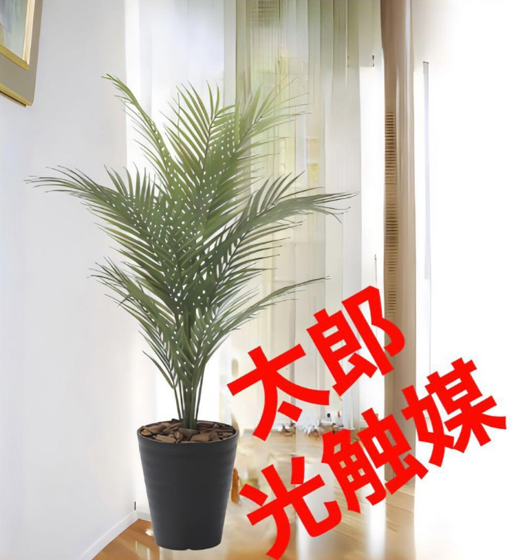 光触媒　人工観葉植物　ウォールグリーン　フェイクグリーン　パームツリー９５　アレカヤシ