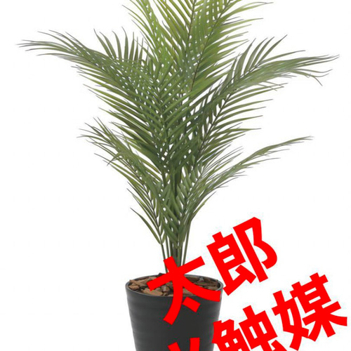 光触媒 人工観葉植物 ウォールグリーン フェイクグリーン パーム