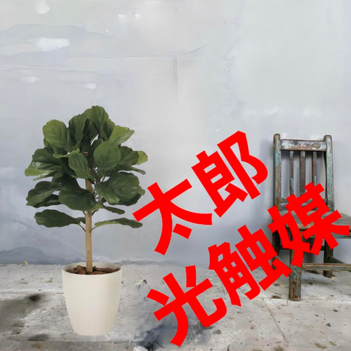 光触媒人工観葉植物ウォールグリーンフェイクグリーンDXカシワバゴム1.0