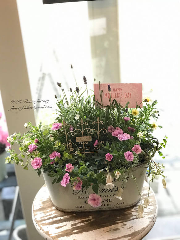 母の日の季節の花の寄せ植え（お任せ） その他インテリア雑貨 KiKi