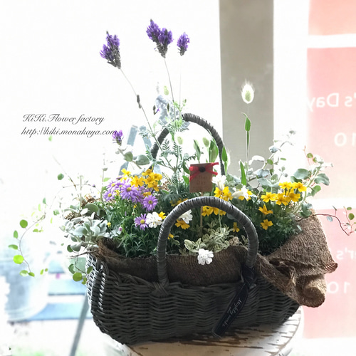 母の日の季節の花の寄せ植え（お任せ） その他インテリア雑貨 KiKi