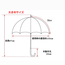  第5張的照片