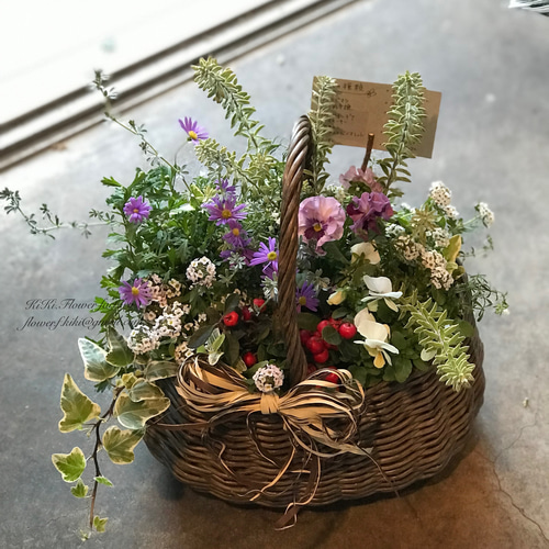 再…販‼︎季節の花の寄せ植えバスケット（お任せ）腐らないバスケット