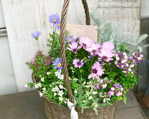 再…販‼︎季節の花の寄せ植えバスケット（お任せ）腐らないバスケット