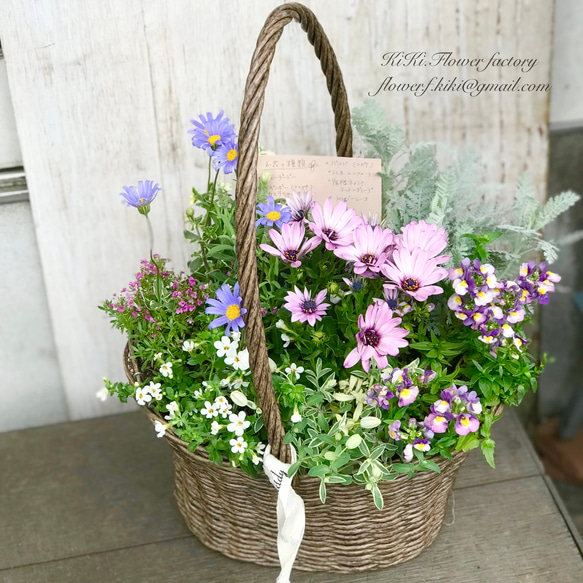 寄せ植え　花■大人可愛いバスケット 再…販‼︎季節の花の寄せ植えバスケット（お任せ）腐らないバスケット
