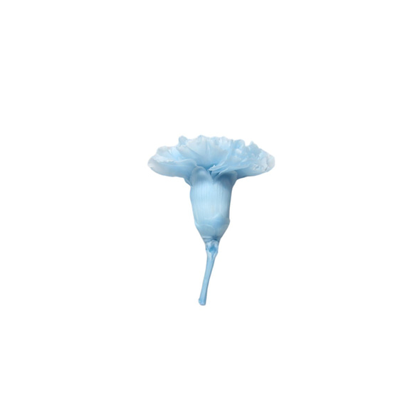 地球農場！永生花《康乃馨淡藍色4輪》母親節乾燥花花材 第2張的照片