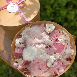 8dc58704121eb86e2823449eca569e