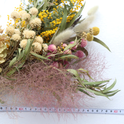 ミモザ.ユーカリ.スモークツリーなどのスワッグ用花材セット 7枚目の画像
