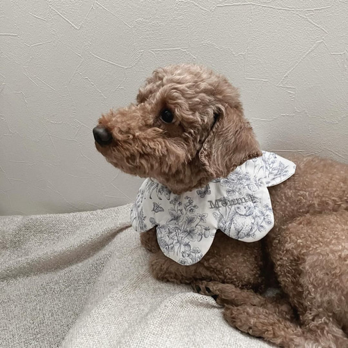 958.わんこビブ　つけ襟　スタイ　ハンドメイド　犬服 958.わんこビブ つけ襟 スタイ ハンドメイド 犬服 - メルカリ