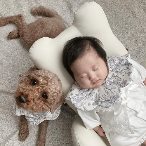 ワンちゃん用スタイ】犬用スタイ スタイ 名入れ刺繍 バースデースタイ
