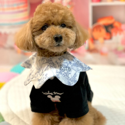 5311 ハンドメイドスタイ　犬　刺繍　名入れスタイ ワンちゃん用スタイ】犬用スタイ スタイ 名入れ刺繍 バースデー