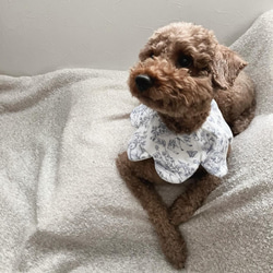 犬用スタイ スタイ 名入れ刺繍 バースデースタイ ペット 9枚目の画像