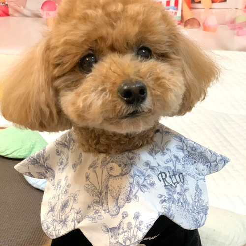 5311 ハンドメイドスタイ　犬　刺繍　名入れスタイ 5311 ハンドメイドスタイ 犬 刺繍 名入れスタイ - メルカリ