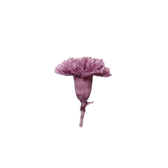 地球農場！永生花《康乃馨灰紫色1朵》母親節乾燥花花材 第2張的照片