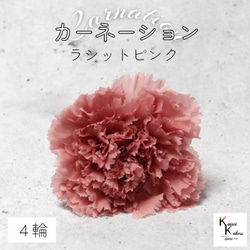 地球農場！永生花「康乃馨拉斯特粉紅1朵」母親節乾燥花花材 第1張的照片