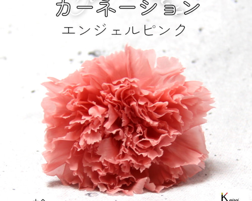 d13a85677e84fa0346c55f8757b4e8