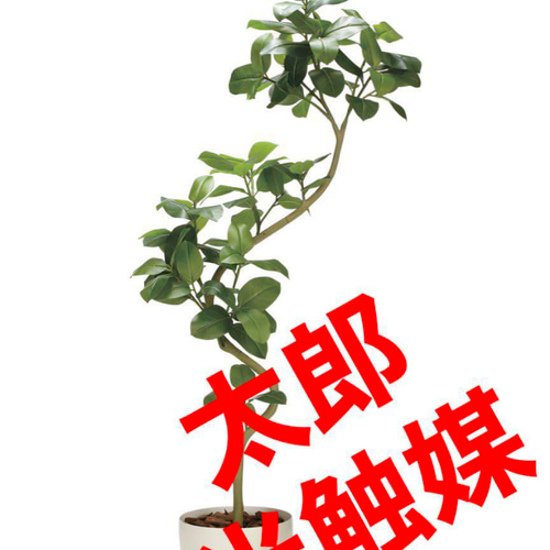魅了 光触媒 人工観葉植物 フェイクグリーン ウォールグリーン フラワー・ガーデニング