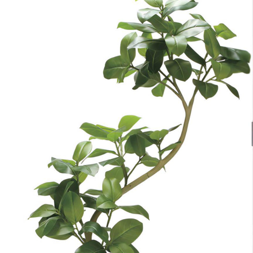 光触媒 人工観葉植物 ウォールグリーン フェイクグリーン 光触媒 人工観葉植物 ウォールグリーン フェイクグリーン