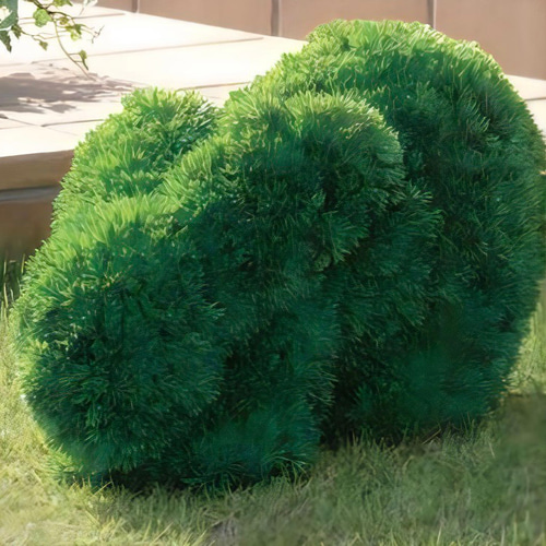 光触媒　人工観葉植物　ウォールグリーン　フェイクグリーン　ゾウs 光触媒 人工観葉植物 ウォールグリーン フェイクグリーン ウサギs
