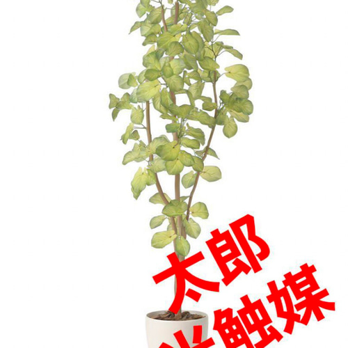 光触媒 人工観葉植物 ウォールグリーン フェイクグリーン スリム