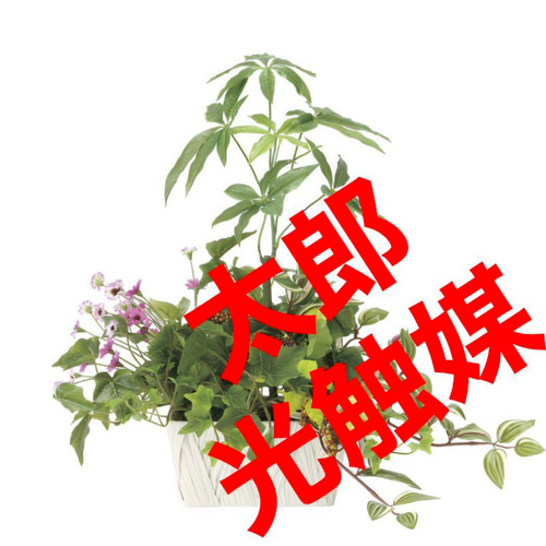 光触媒 人工観葉植物 ウォールグリーン フェイクグリーン 寄せ