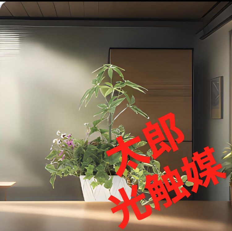 光触媒　人工観葉植物　ウォールグリーン　フェイクグリーン　寄せ植えパキラb